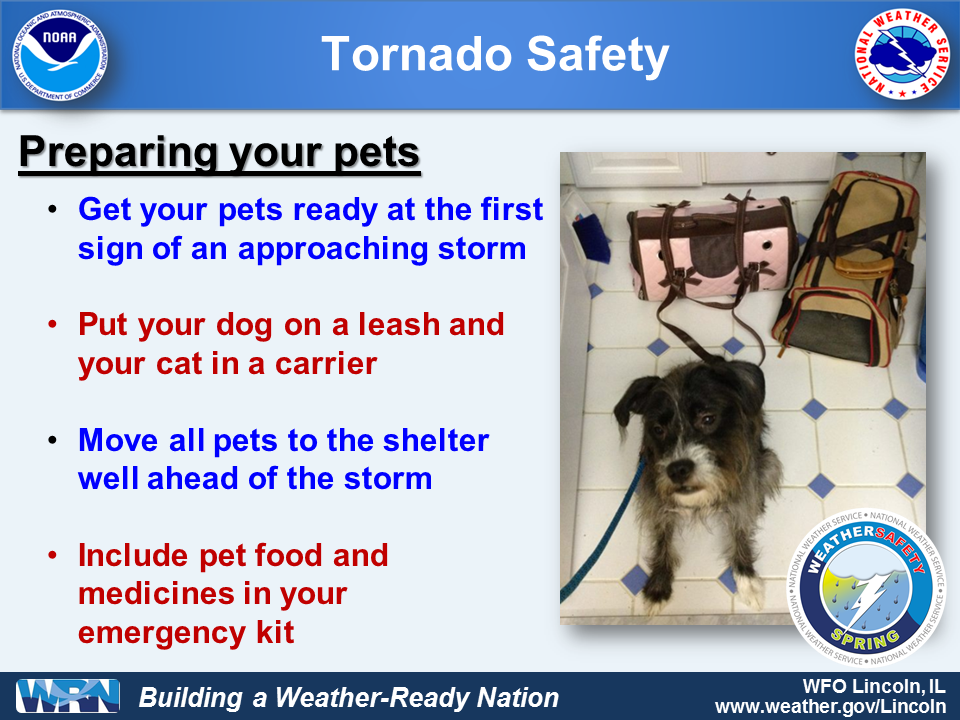 Tornado Safety for Pets